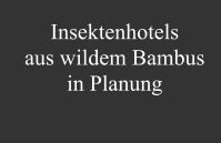 Insektenhotels aus wildem Bambus in Planung